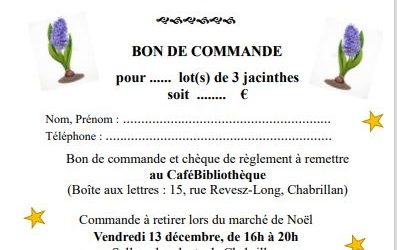 Pré commande LOT DE 3 JACINTHES