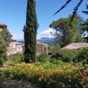 Chabrillan vue fleurs et trois becs