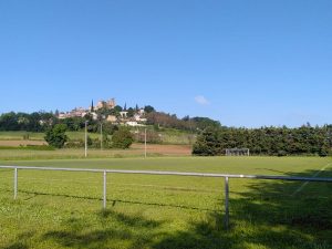 Aménagement du stade