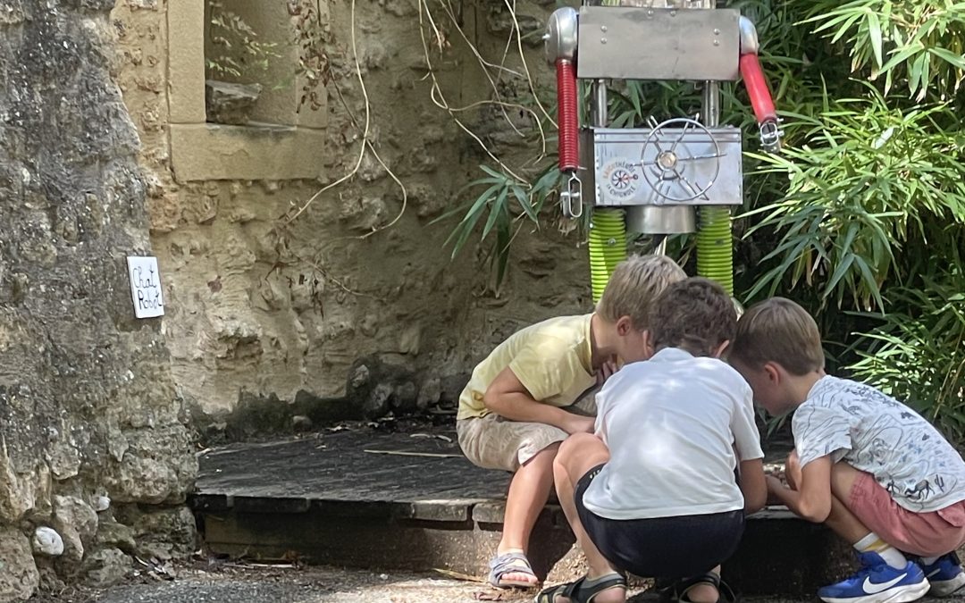 Exposition Chèvres et Chats visitée par les enfants de l’école