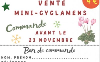 Senteurs et Pivoines Vente de cyclamens