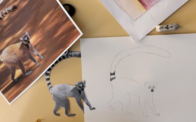 Rencontre, dédicace et atelier dessin avec Émilie Vanvolsem
