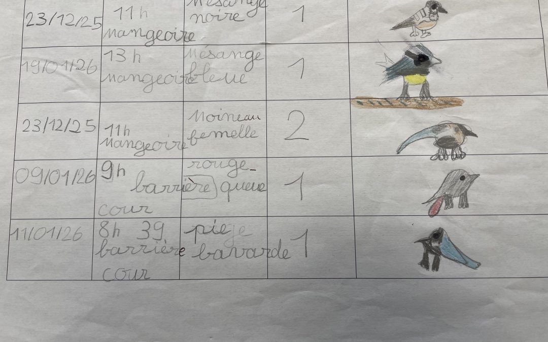 Les oiseaux de Chabrillan (suite)