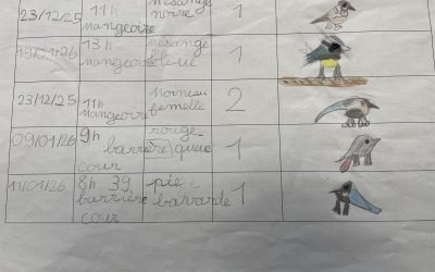 Les oiseaux de Chabrillan (suite)